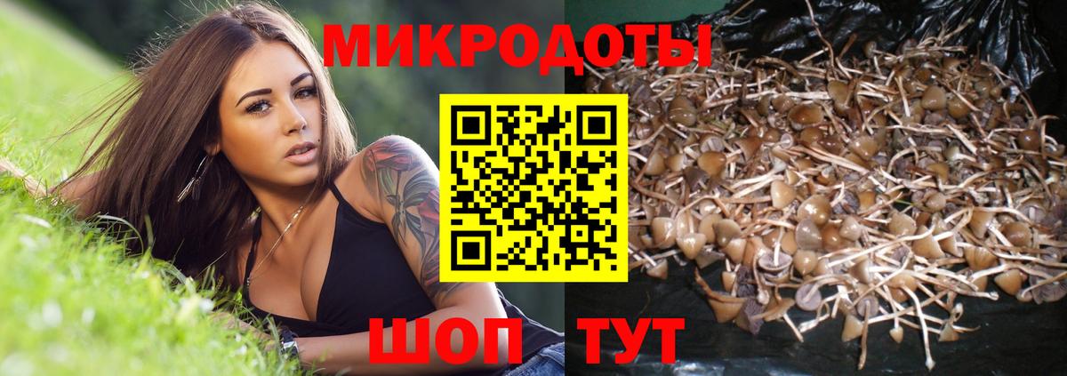 Галлюциногенные грибы ЛСД Петропавловск-Камчатский