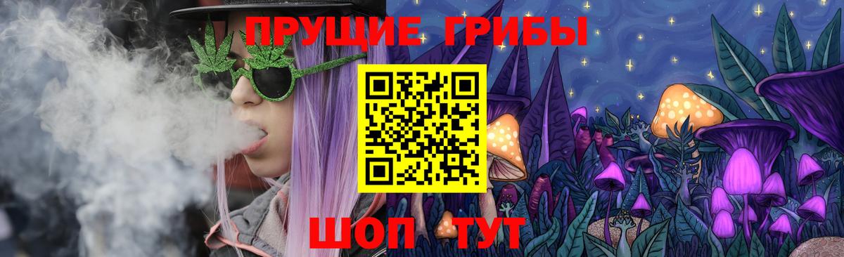 Галлюциногенные грибы MAGIC MUSHROOMS  Псилоцибиновые грибы GOLDEN TEACHER  купить закладку  Вход с VPN  Петропавловск-Камчатский 