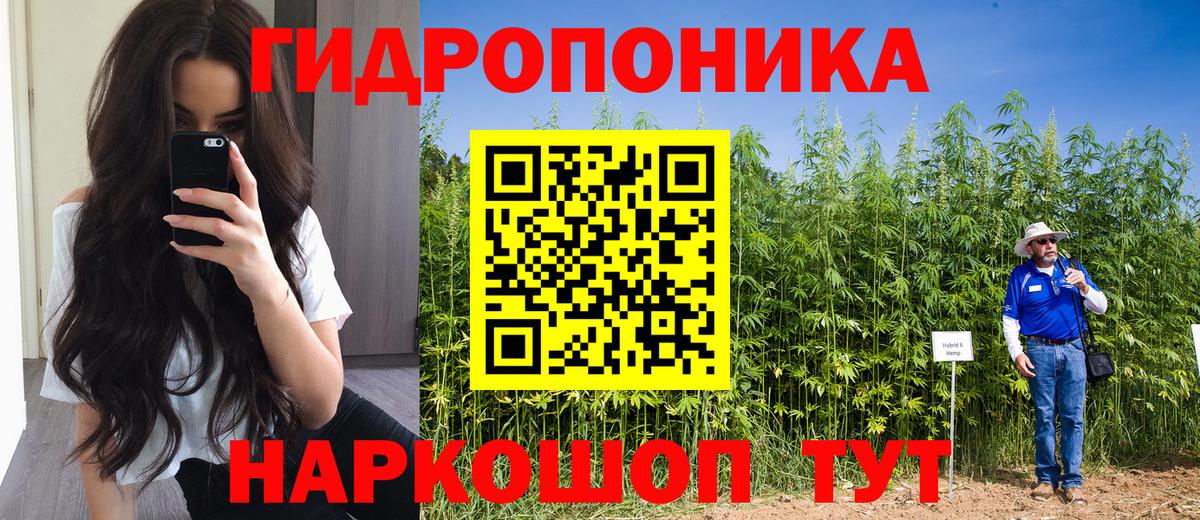 A-PVP Петропавловск-Камчатский
